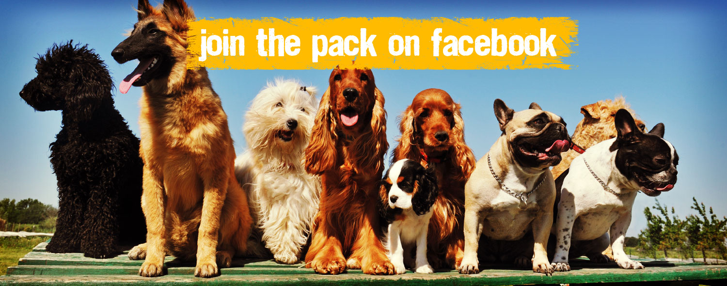 Join the pack on facebook