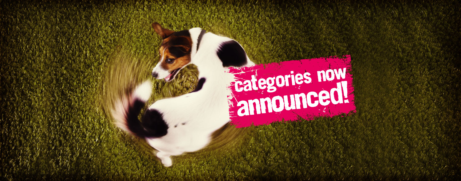 Categories now announced!
